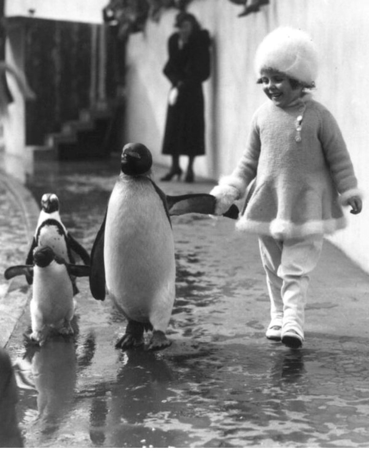 Girl and penguin in the London zoo, 1937